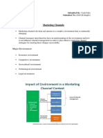 Marketing Channels: Major Environment