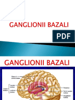 Ganglionii Bazali