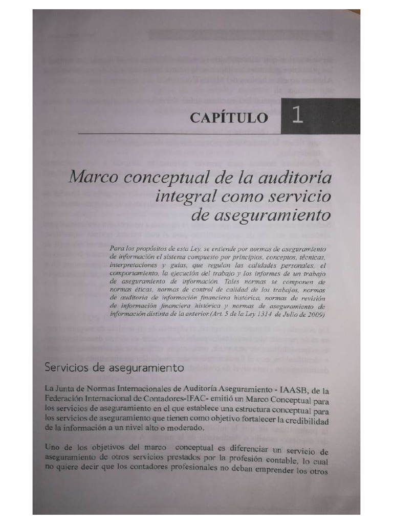 CAPITULO 1-Marco Conceptual de La Auditoria Integral Como Servicio de ...