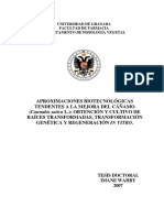PROXIMACIONES BIOTECNOLOGICAS TENDIENTES A LA MEJORA DEL CAÑAMO, OBTENCIO Y CULTIO DE RAICES TRANFORMADAS, TRANSFORMACION GENETICA Y REGEERACION IN VITRO..pdf