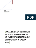 Analisis de La Depresion en El Adulto Mayor en La Encuesta Nacional de Demografia y Salud 2010 PDF