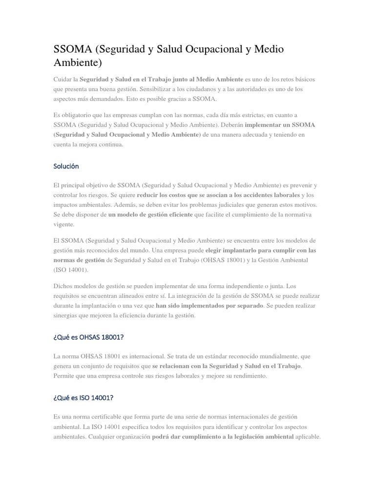 Importancia del SSOMA en Empresas | PDF | Seguridad y salud ocupacional ...