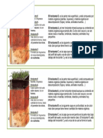 Partes Del Suelo