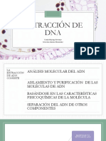 Extracción de DNA