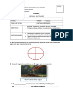 Control de Ciencias Naturales. 2 Semestre 