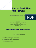 QRT PCR Kursus Biomol