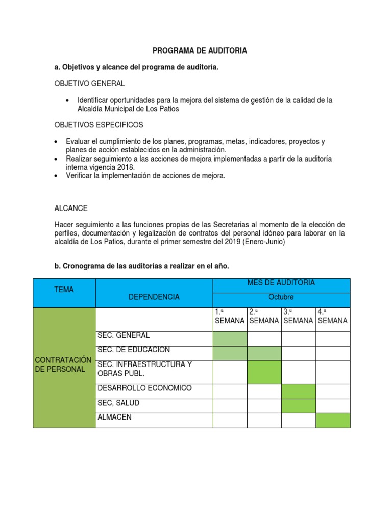 Programa y PLan de Auditoria | PDF | Auditoría | Gestión de la calidad