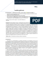 Adhesins in Candida Glabrata ES