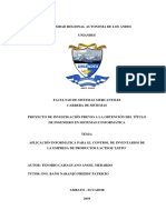 aplicacion informaticaPIUASIS010-2019.pdf