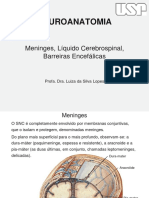 Meninges Anatomia