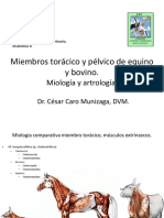 002-CC2014-Miologia y artrologia miembros animales mayores..pdf