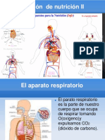 Funcion de Nutricion II