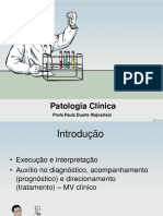 Introdução Patologia Clinica