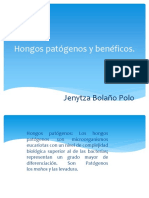 Hongos Patógenos y Benéficos