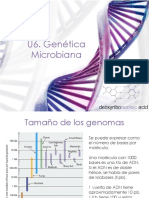 U6 GeneticaMicrobiana 19166 PDF