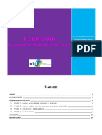 herramientas_practicas_para_innovacion_1.0_flor_de_loto.pdf