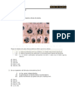 Desafio N°2.pdf