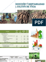 Costo de Producción y Rentabilidad en El Cultivo