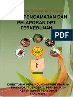 Buku Pengamatan Dan Pelaporan