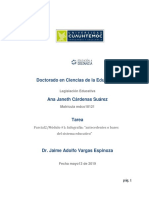 Infografía Antecedentes SE Cardenas - Ana PDF