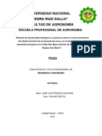 BC Tes TMP 1537 PDF