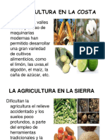 Agricultura costa, sierra y selva Perú