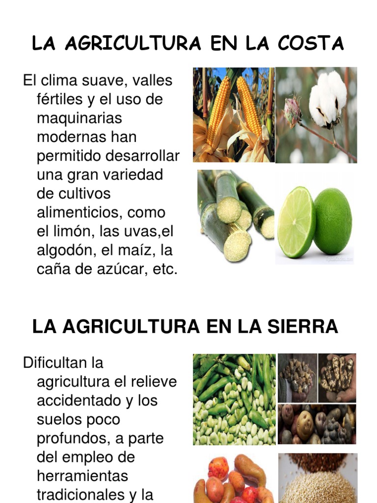 La Agricultura En El Peru Pdf Pdf