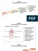 BIOLOGÍA. sistema inmune 8°