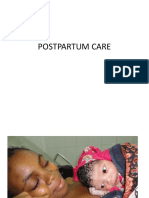 Postpartum Care 