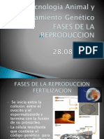 Clase 4. - 26.08.2019 Biotec Animal y Reproducción PDF