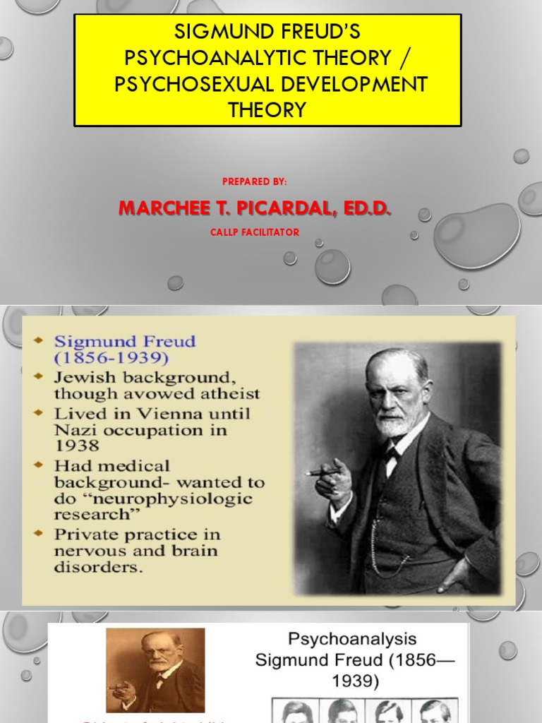 Freuds Psychoanalytic Theory | PDF