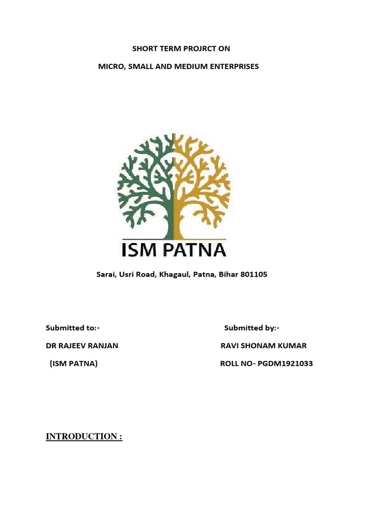 MSME Sector: Growth and Challenges | PDF | Small And Medium Sized ...