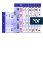 Plasmodium