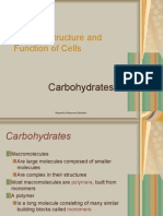 Biological Molecules - Carbohydrates