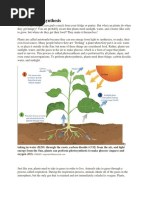 Grade 3 Community Safety and Hygiene | PDF | Soil | Waste