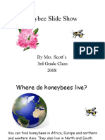 Honeybee Slide Show Facts
