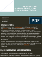 Biologi Archaebacteria