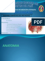 112773639-Anatomia-y-Fisiologia-PISO-PELVICO.pdf