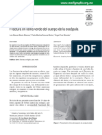 Articulo Escapula PDF