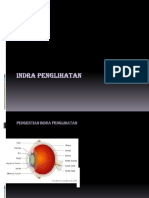 Indra Pengihatan