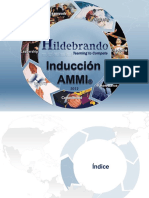 Induccion_AMMI_2012_-_a1