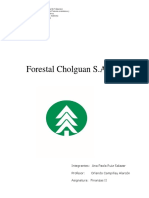 Forestal Cholguan S.A Finanzas II