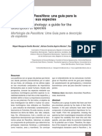 Dialnet-MorfologiaDePassiflora-5590937 (1).pdf