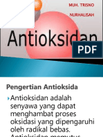 ANTIOKSIDAN