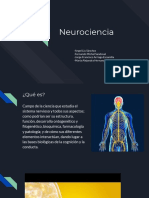 Neurociencia: Estudio del sistema nervioso