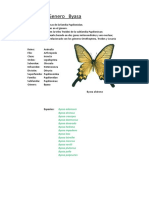 Género Byasa: Mariposas de la Familia Papilionidae