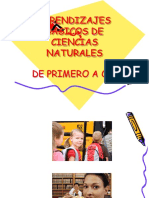 Aprendizajes Basicos Ciencias Naturales en Diapositivas San Fernando 2017