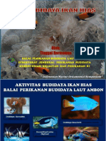 Ikan Hias BPBL Ambon