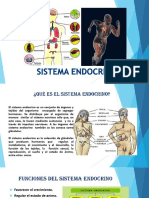 diapositivas endocrino.1