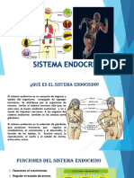 Diapositivas Endocrino.1
